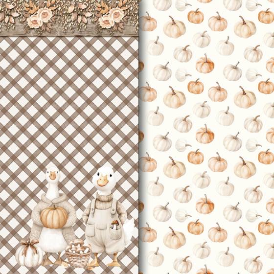 Colección Wonderful Autumn