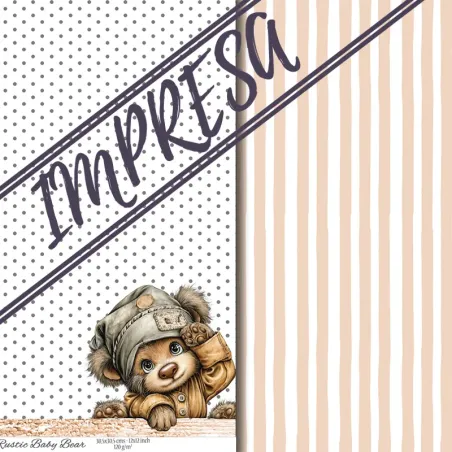 Vellum "Rustic Baby Boy Bear"